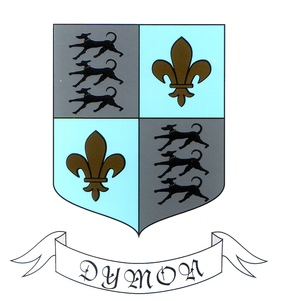 Avis de réunion du conseil municipal - 21 juillet 2026